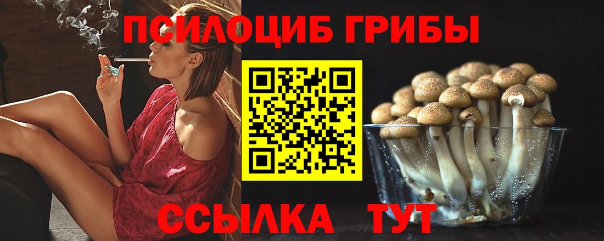 Псилоцибиновые грибы Magic Shrooms  Вход с VPN  Котлас 