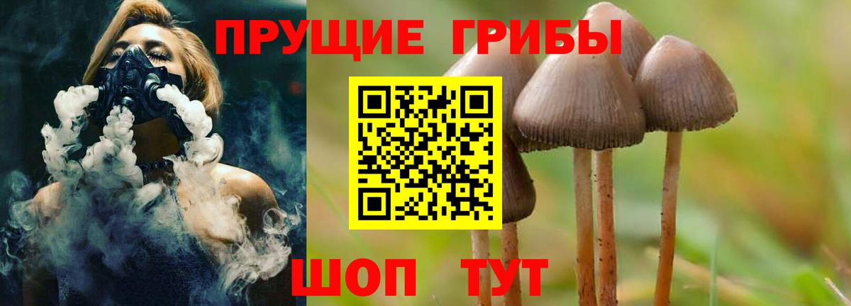 Псилоцибиновые грибы мицелий Котлас